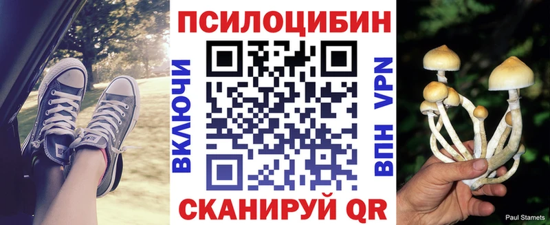 как найти наркотики  Махачкала  Галлюциногенные грибы Psilocybe 